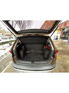 Автомобиль SKODA KAROQ 2020 год под заказ из Китая