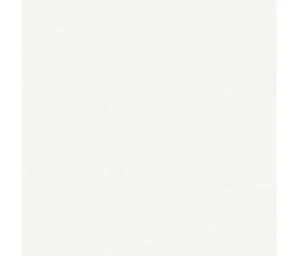 Фото для Стеновая панель Кедр № 111, Белый ГЛЯНЕЦ, 3050*600*4мм, 5 категория